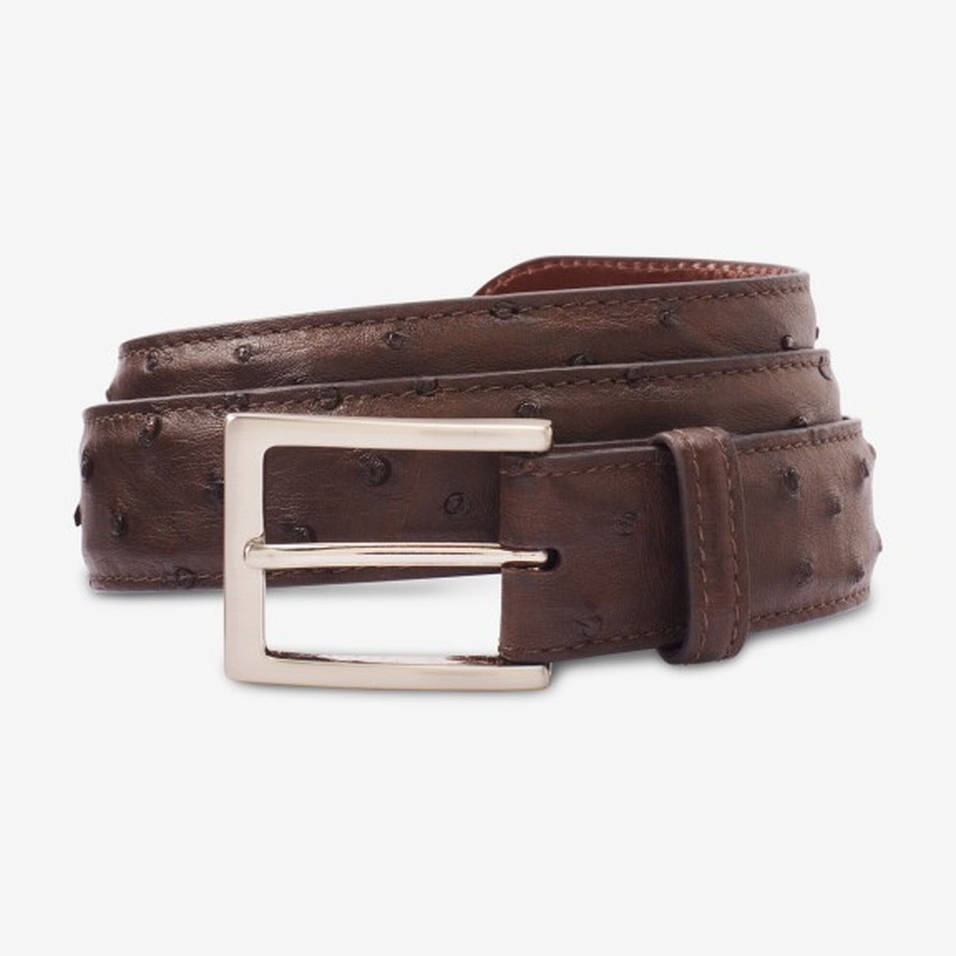 Ostrich Avenue Dress Belt - Espresso