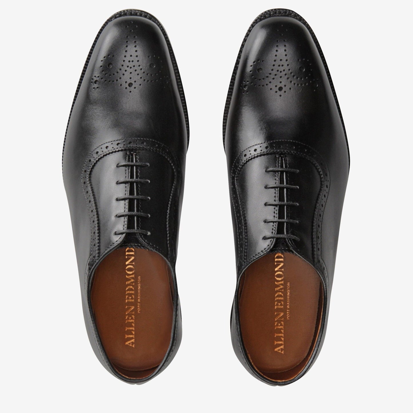 Cornwallis Dress Oxford - Black