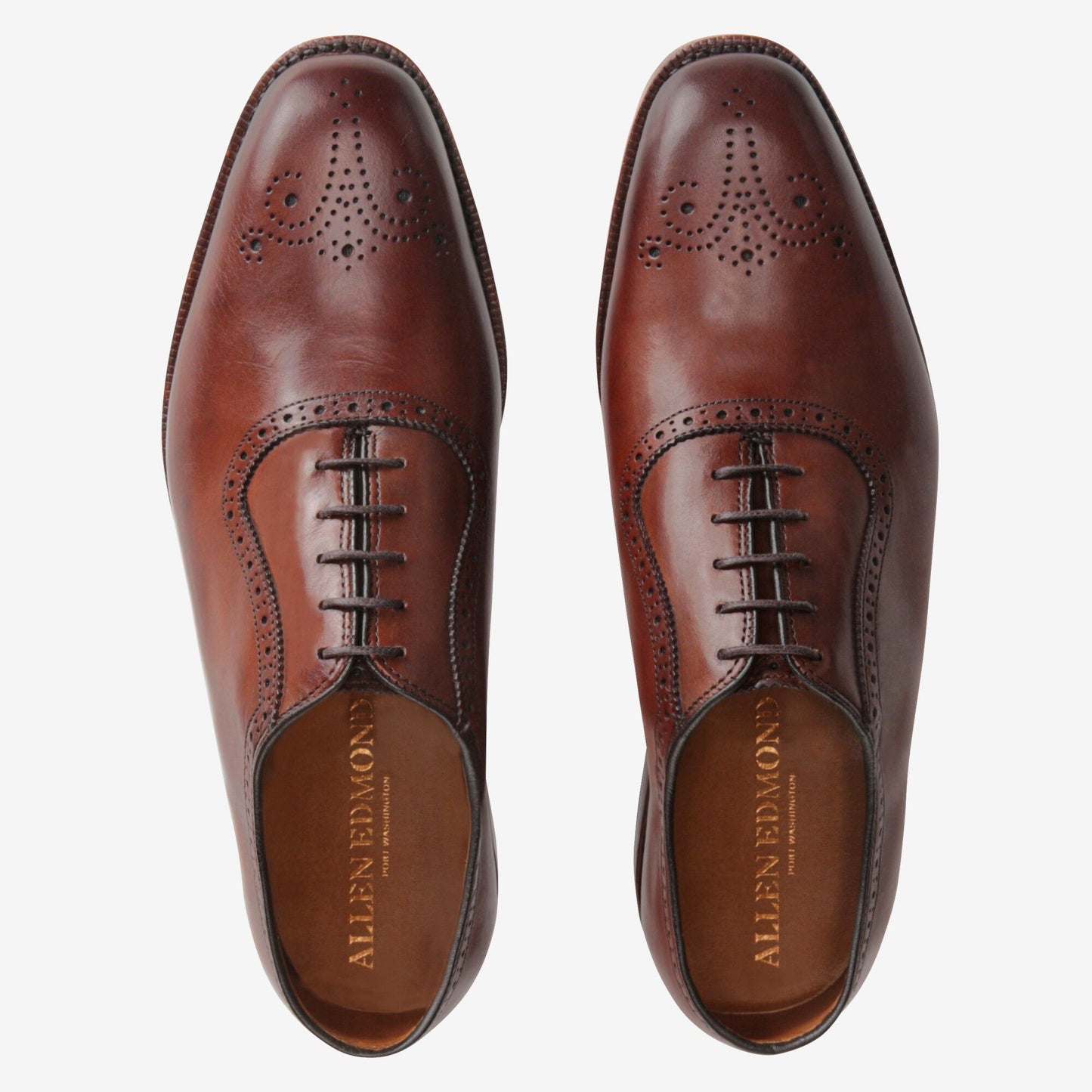 Cornwallis Dress Oxford - Dark Chili