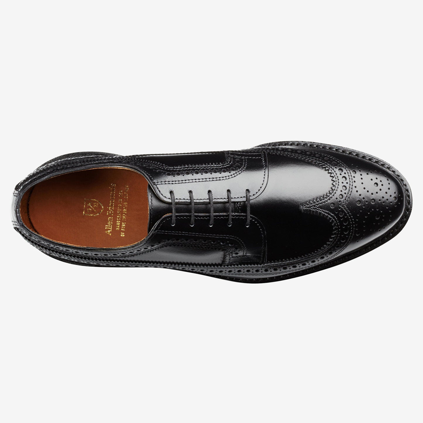 Macneil 2.0 Dress Wingtip Blucher Shoe - Black