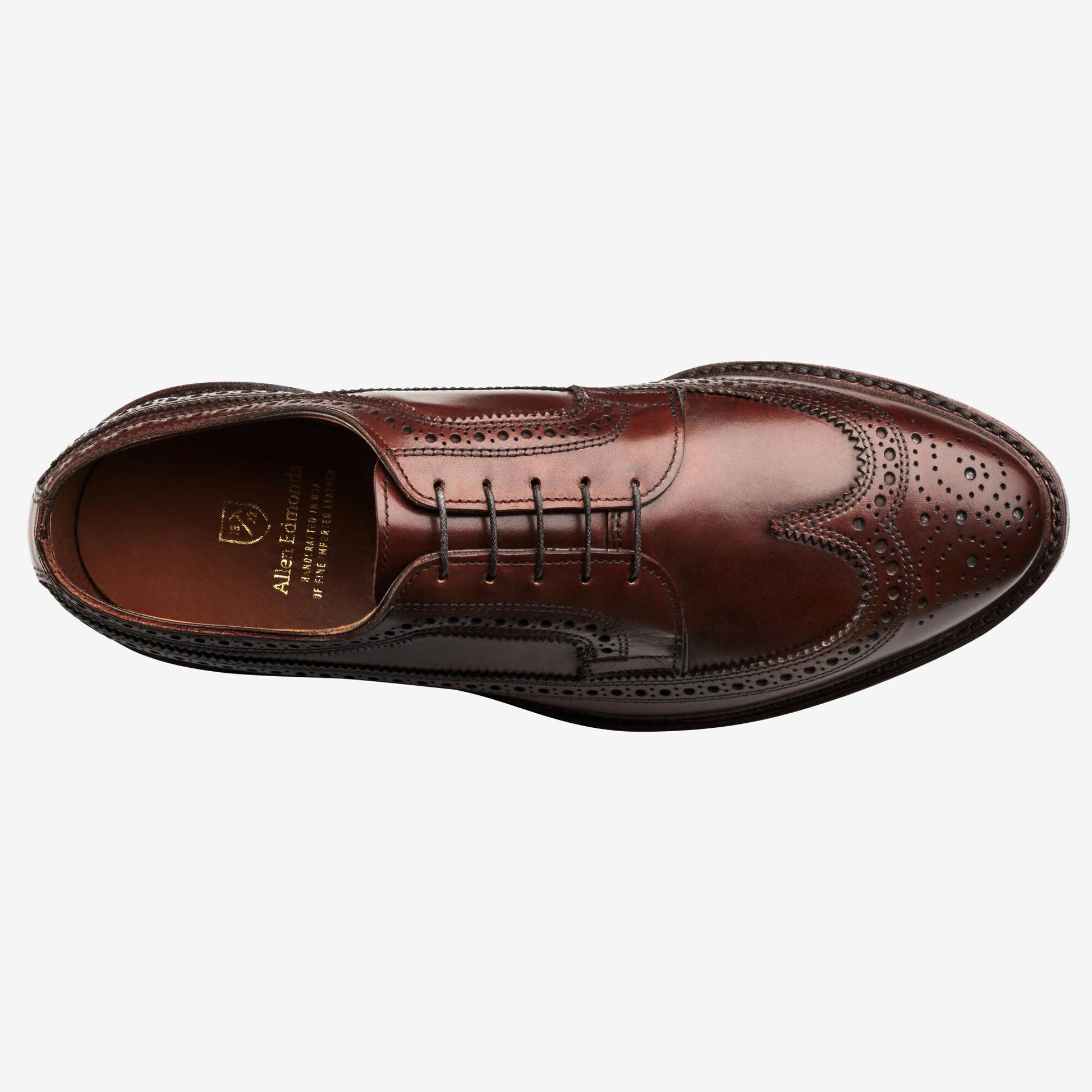 Macneil 2.0 Dress Wingtip Blucher Shoe - Dark Chili