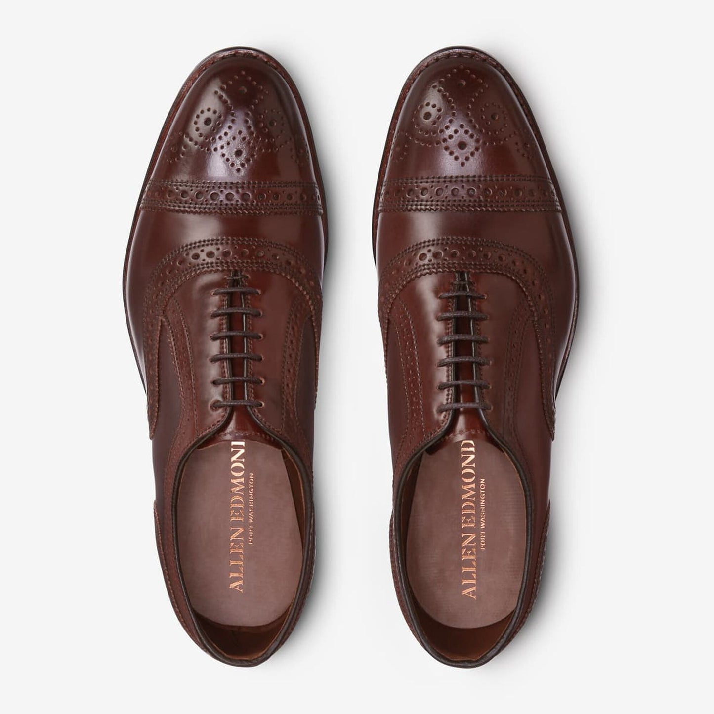 Strand Shell Cordovan Cap-Toe Oxford - Chili