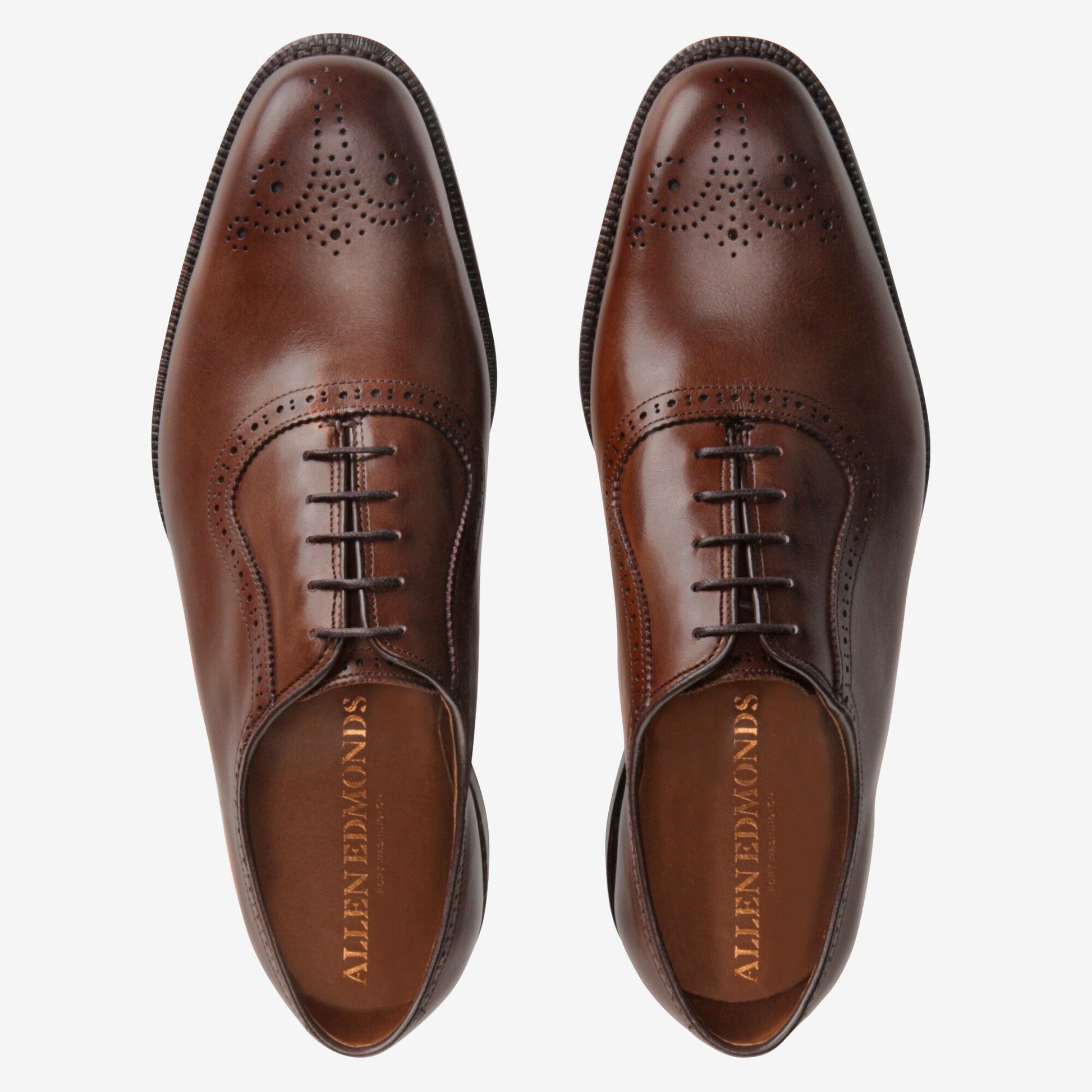Cornwallis Dress Oxford - Coffee