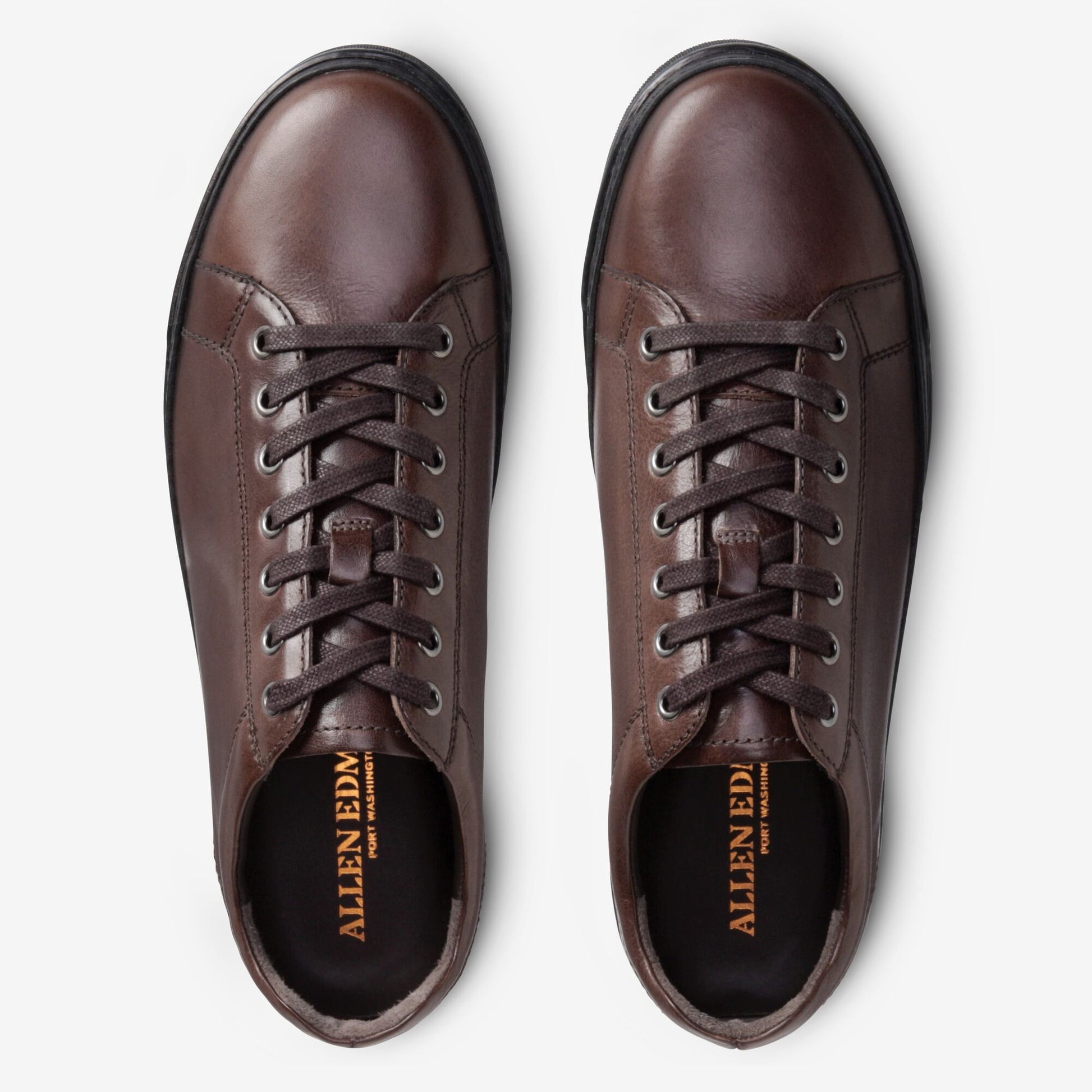 Porter Derby Sneaker - Brown