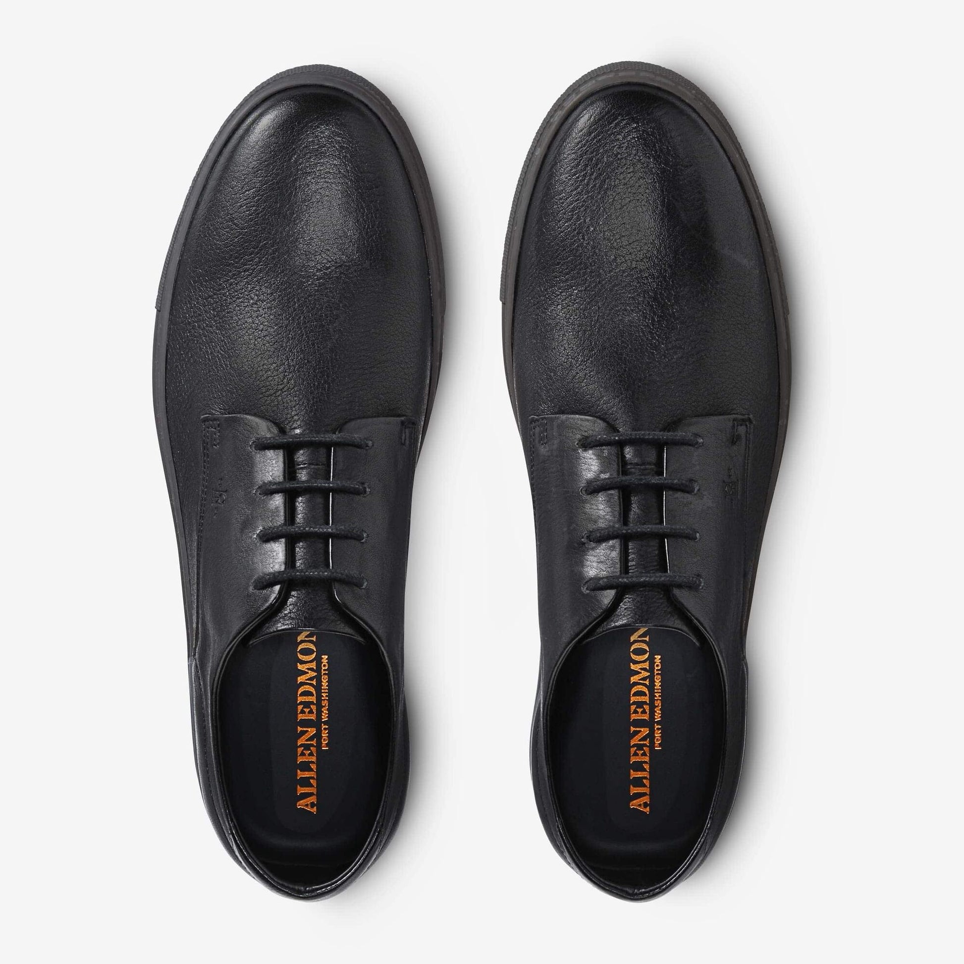 Howard Derby Sneaker - Black