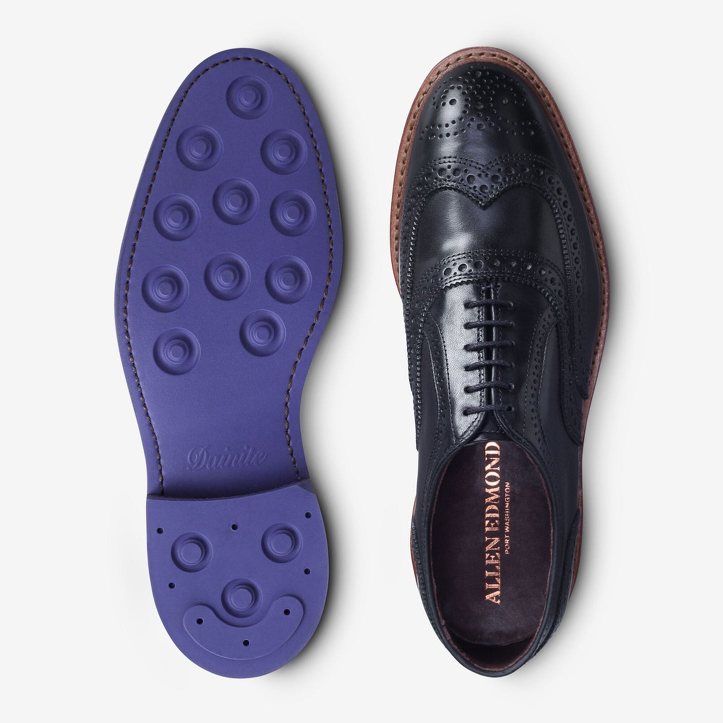 McTavish Oxford Wingtip Dress Shoe - Black with Blue Sole