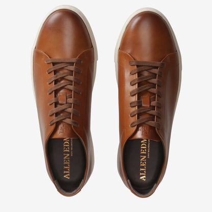 Canal Court Sneaker - Walnut