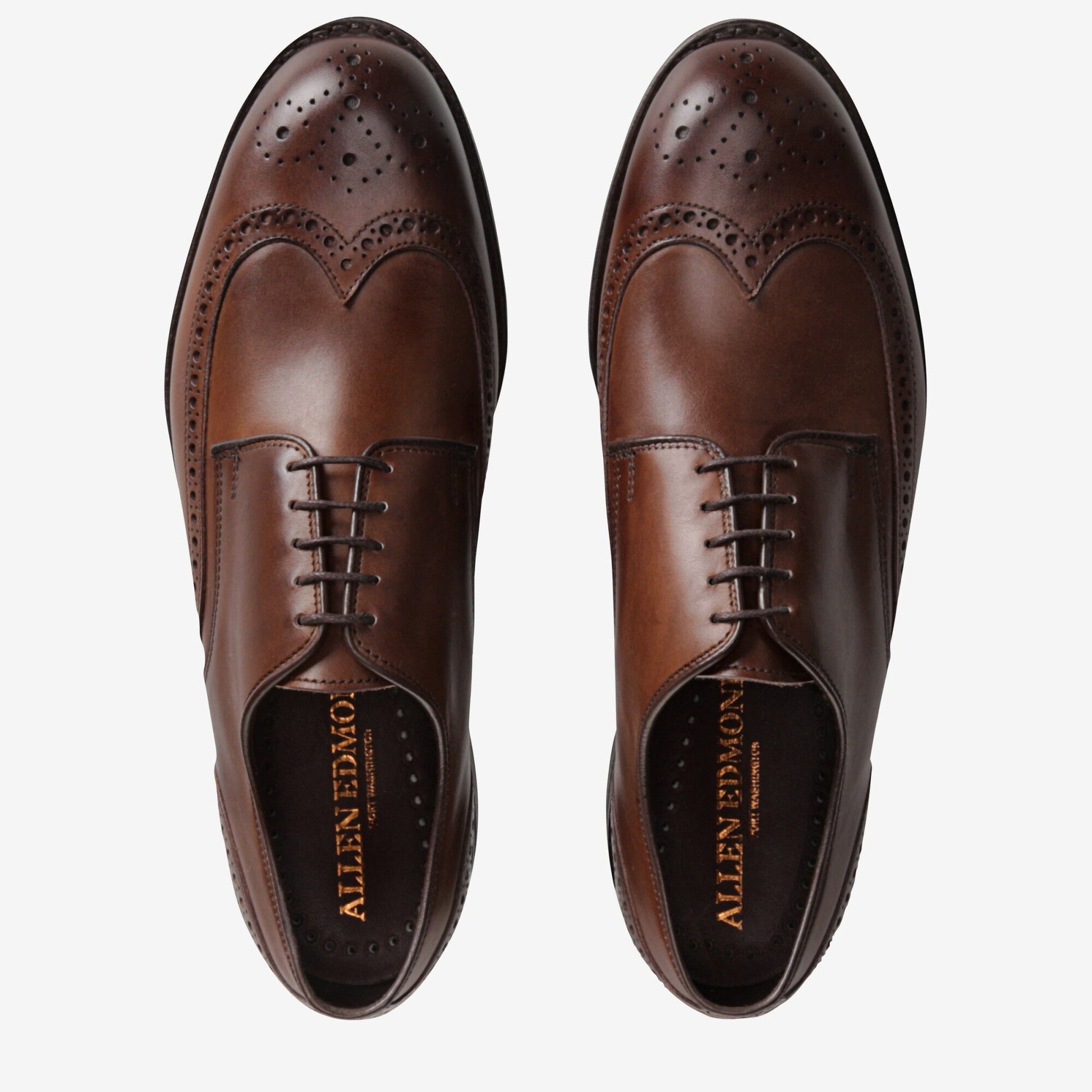 Nomad Short Wing - Coffee