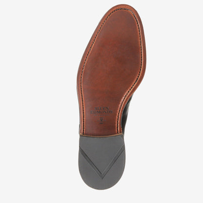 Acheson Suede Tassel Dress Loafer - Black with brown