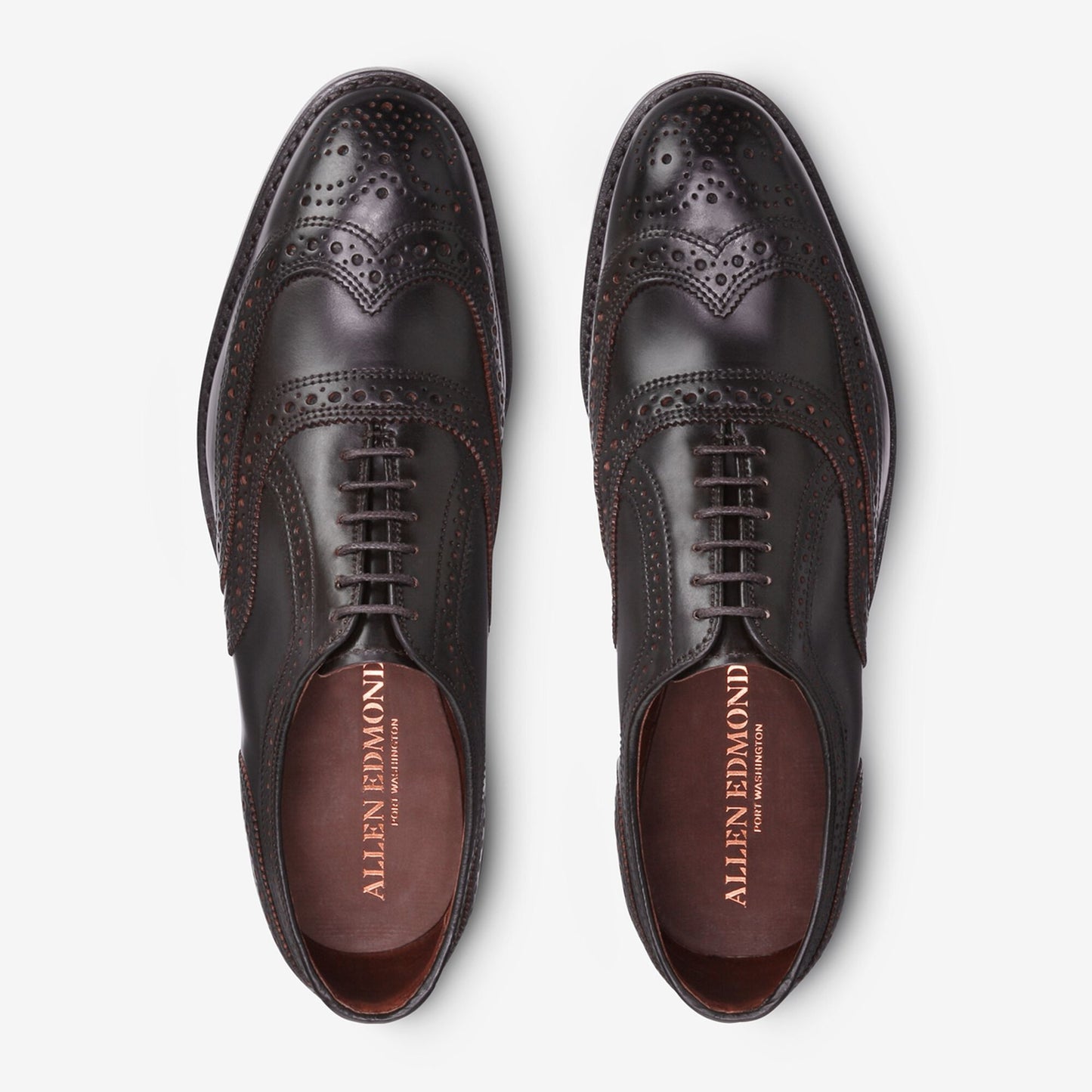 Cambridge Shell Cordovan Wingtip - Brown