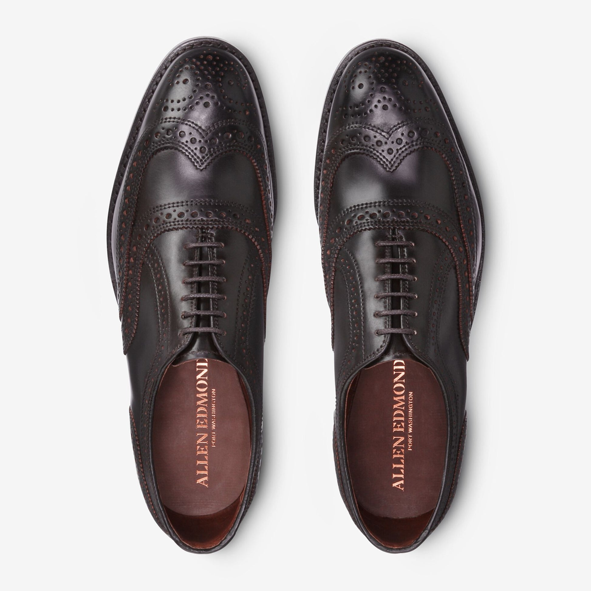 Cambridge Shell Cordovan Wingtip - Brown