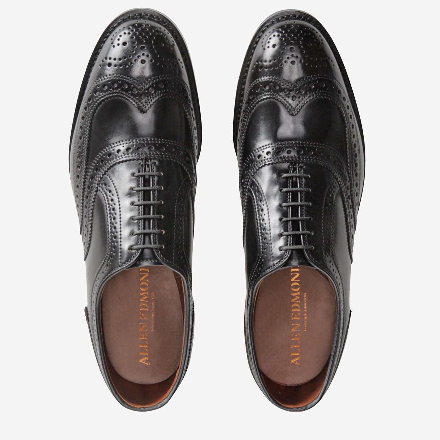 Cambridge Shell Cordovan Wingtip - Black